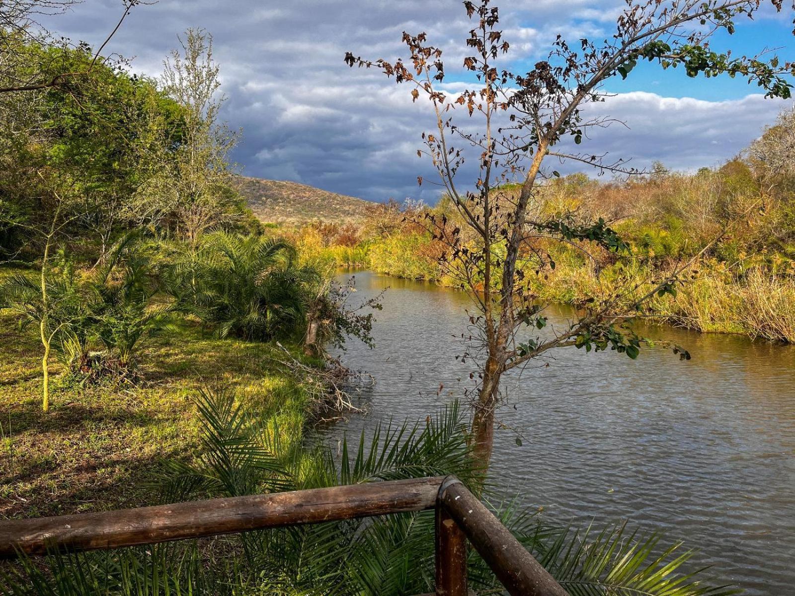 Mbuluzi Game Reserve Simunye Стая снимка