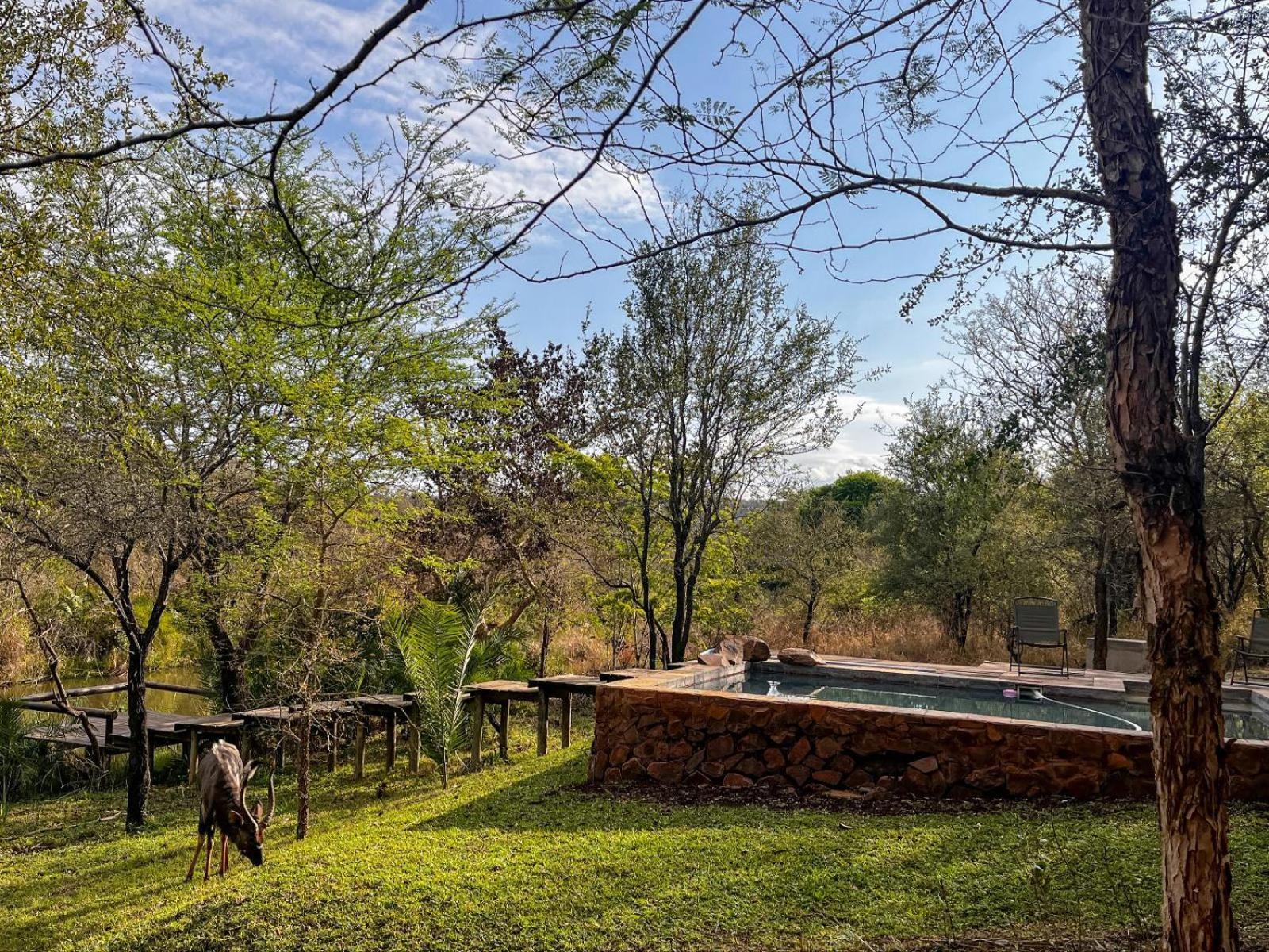 Mbuluzi Game Reserve Simunye Стая снимка